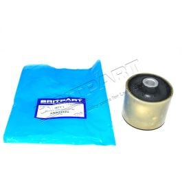 Buchse Schubstrebe VA RR P38