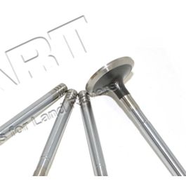 Ventil, Einlaß- ( OEM )