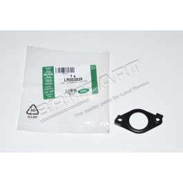 Dichtung AGR-Ventil (Auslaß) TDV8 (3.6)