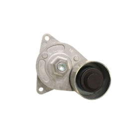 Spanner Keilrippenriemen 3.6 Tdv8 (NB)