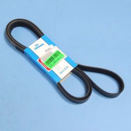 Keilrippenriemen RR P38 V8 (2322 mm) ab XA410482 (OEM)