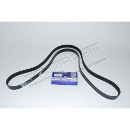 Keilrippenriemen RR P38 V8 (2322 mm) ab XA410482 (NB)