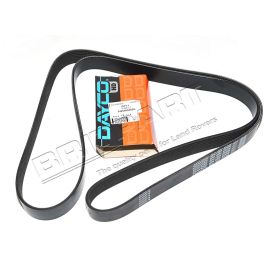 Keilrippenriemen RR Sport TDV8