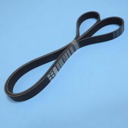 Keilrippenriemen RR Sport TDV8