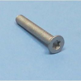 Schraube M6 x 40 Senkkopf (Torx)