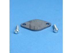 Abdeckplatte AGR Td5