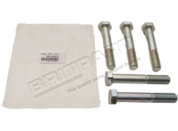 Bolzen M16 x 100 (ZINC)