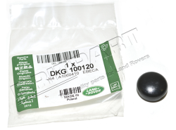 Abdeckkappe Mutter Scheibenwischerspindel vorne Discovery II