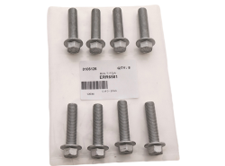 Schraube DMF an KW Td5 (OEM)