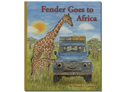 Buch: Fender - Fender goes to Africa