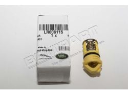 Thermostat AGR Tdv6 / Ttdv8