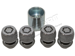 Radsicherung Freelander 2