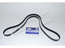 Keilrippenriemen RR P38 V8 (2322 mm) ab XA410482 (NB)