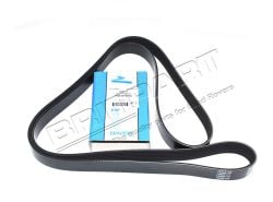 Keilrippenriemen Td5 mit Klima ohne ACE (OEM: Dayco)