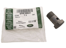 Hohlschraube Servo-Leitung Range Rover ab AA000001