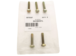 Schraube M6 x 30