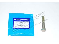 Bolzen M12 x 60
