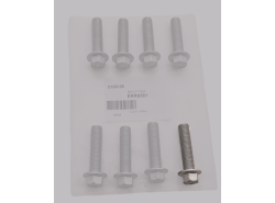 Schraube DMF an KW Td5 (OEM)