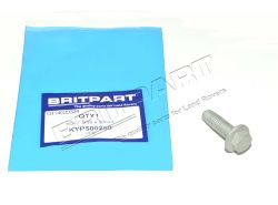 Schraube M10 x 30 Flanschkopf