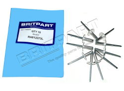 Blindniet 3/16" x 0.575" (4.76 mm x 14.605 mm)