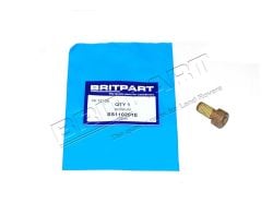 Bolzen M10 x 20 Spannrolle ZR 300Tdi/2.0TCie