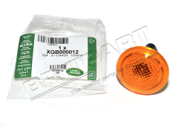 Seitenblinker RR LM/L322